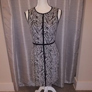 Ann Taylor  Sleeveless, Zebra Dress